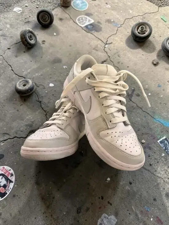 Nike Dunk Low Light Bone - Picture 5 of 16